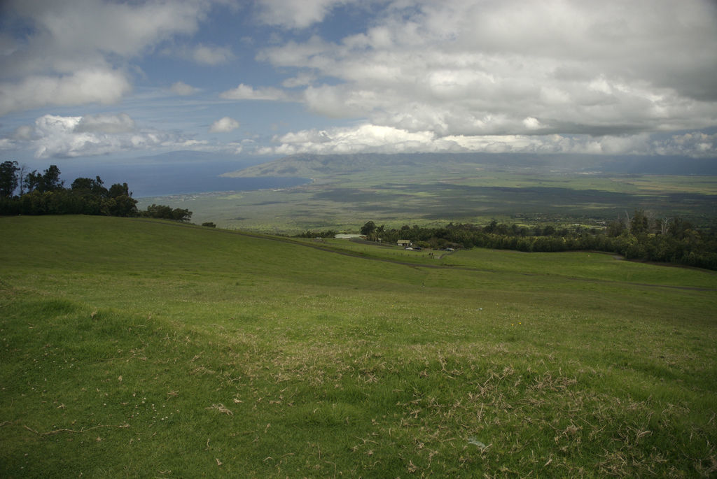 Polipoli Spring State Recreation Area